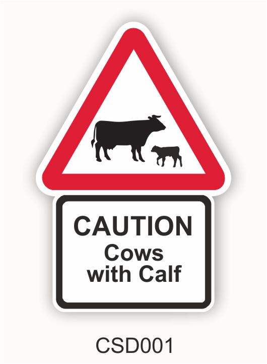 Caution Cows with calf Sign